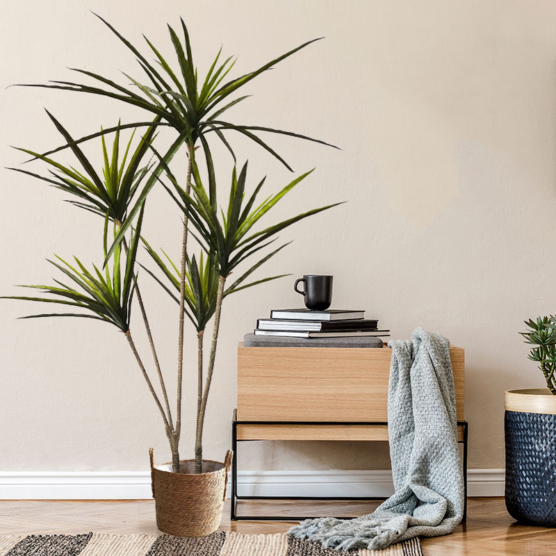 90-120cm Large Artificial Drac - Dracaena Marginata ulasan dan harga