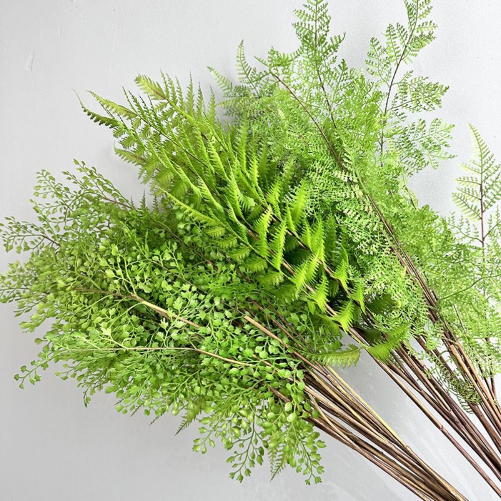 Realistic Artificial Fern Plan - Dracaena Marginata ulasan dan harga