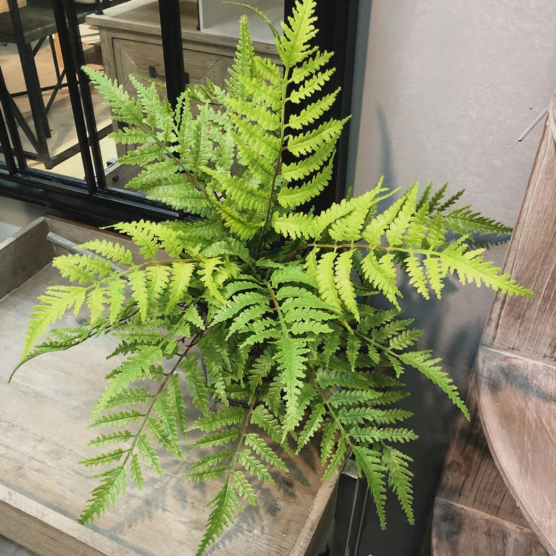 1pcs Artificial Plants Bedroom - Dracaena Marginata ulasan dan harga